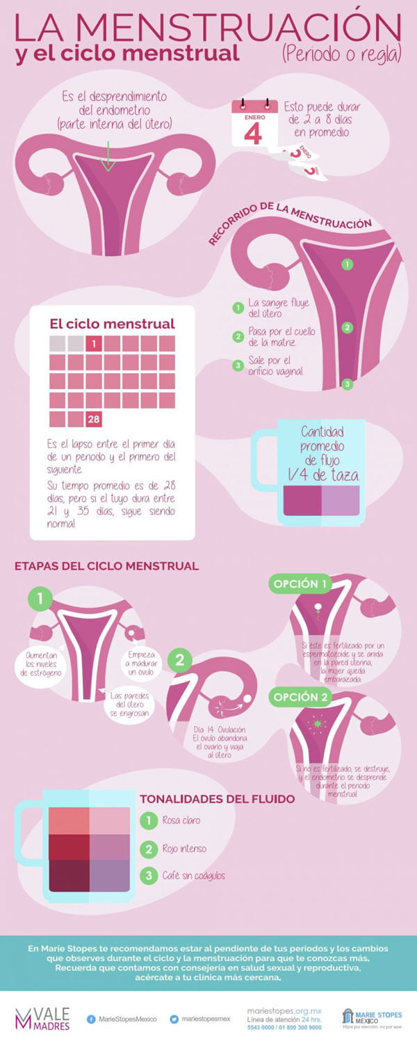 La menstruación Marie Stopes México