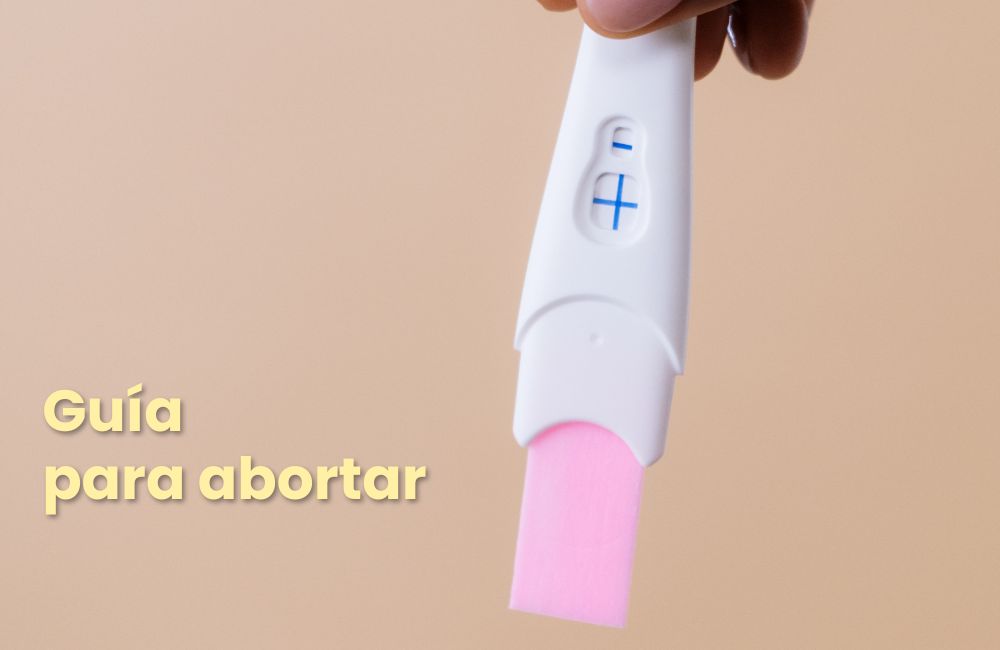 Guía Para Abortar Marie Stopes México 6372